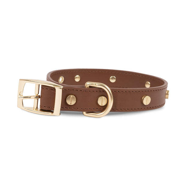 Preppy Dog Collars - Braided, Rope, Plaid, Leather, Gingham, & More - Harry  Barker