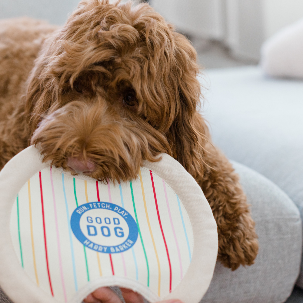 Good Dog Canvas Frisbee Toy