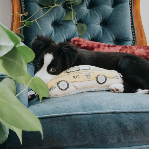 Taxicab Canvas Dog Toy Harry Barker