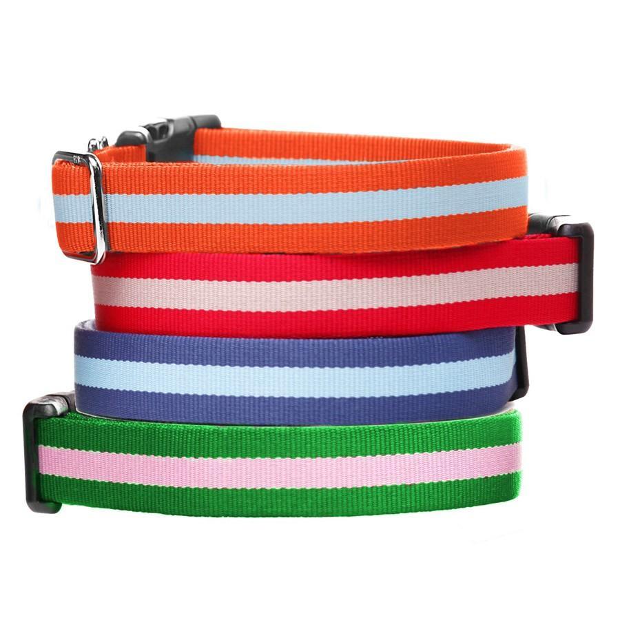 Collar - Eton Dog Collar