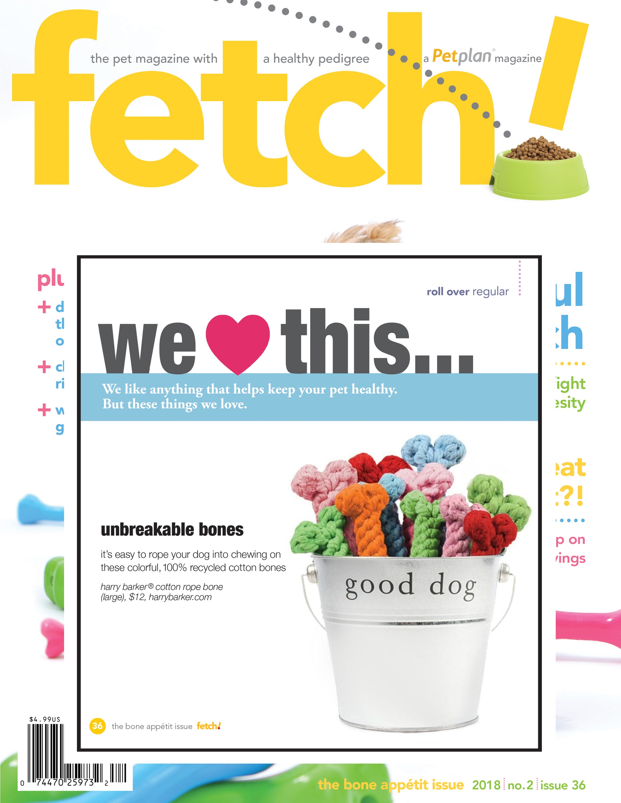 Fetch 2018 No. 2 Issue 36