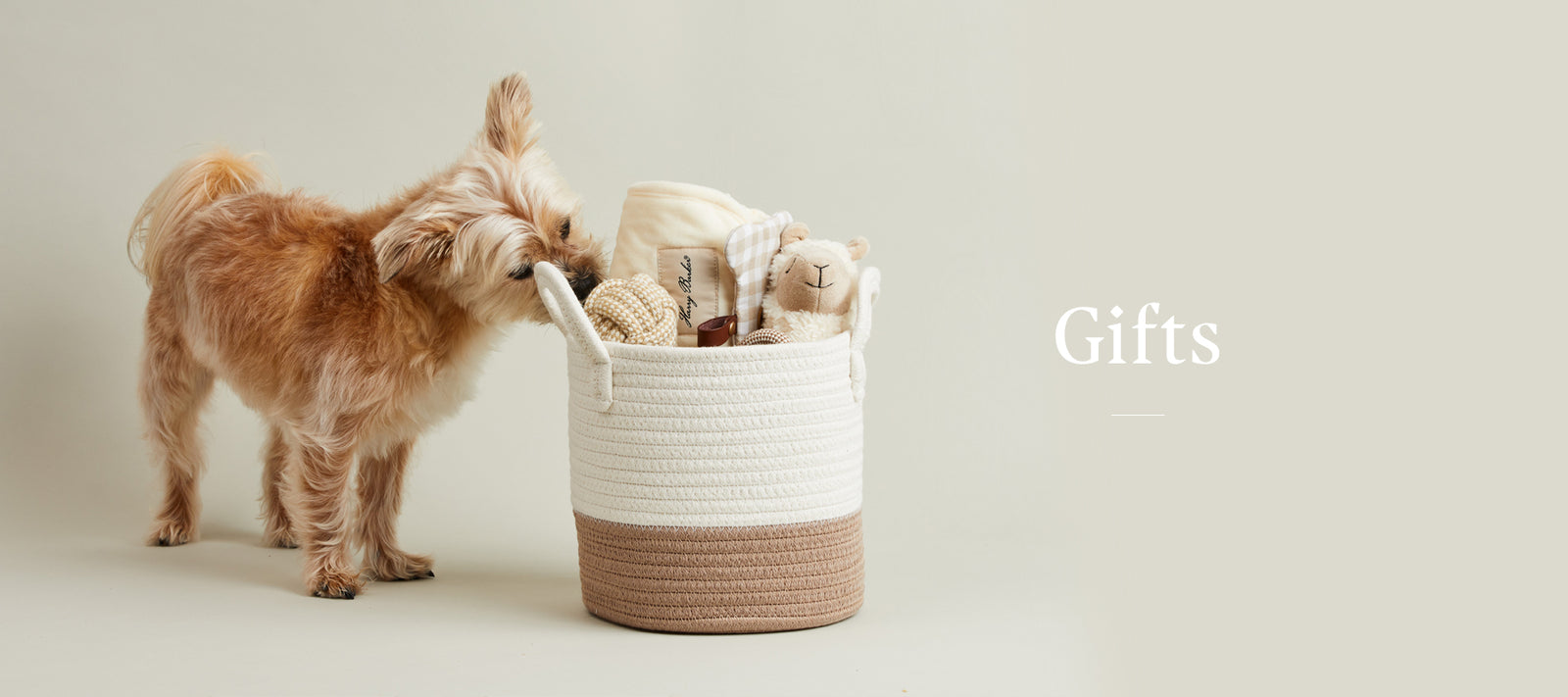 Luxury Dog Gifts - Toy Bundles & More