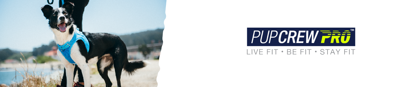 Pup Crew Pro Harry Barker