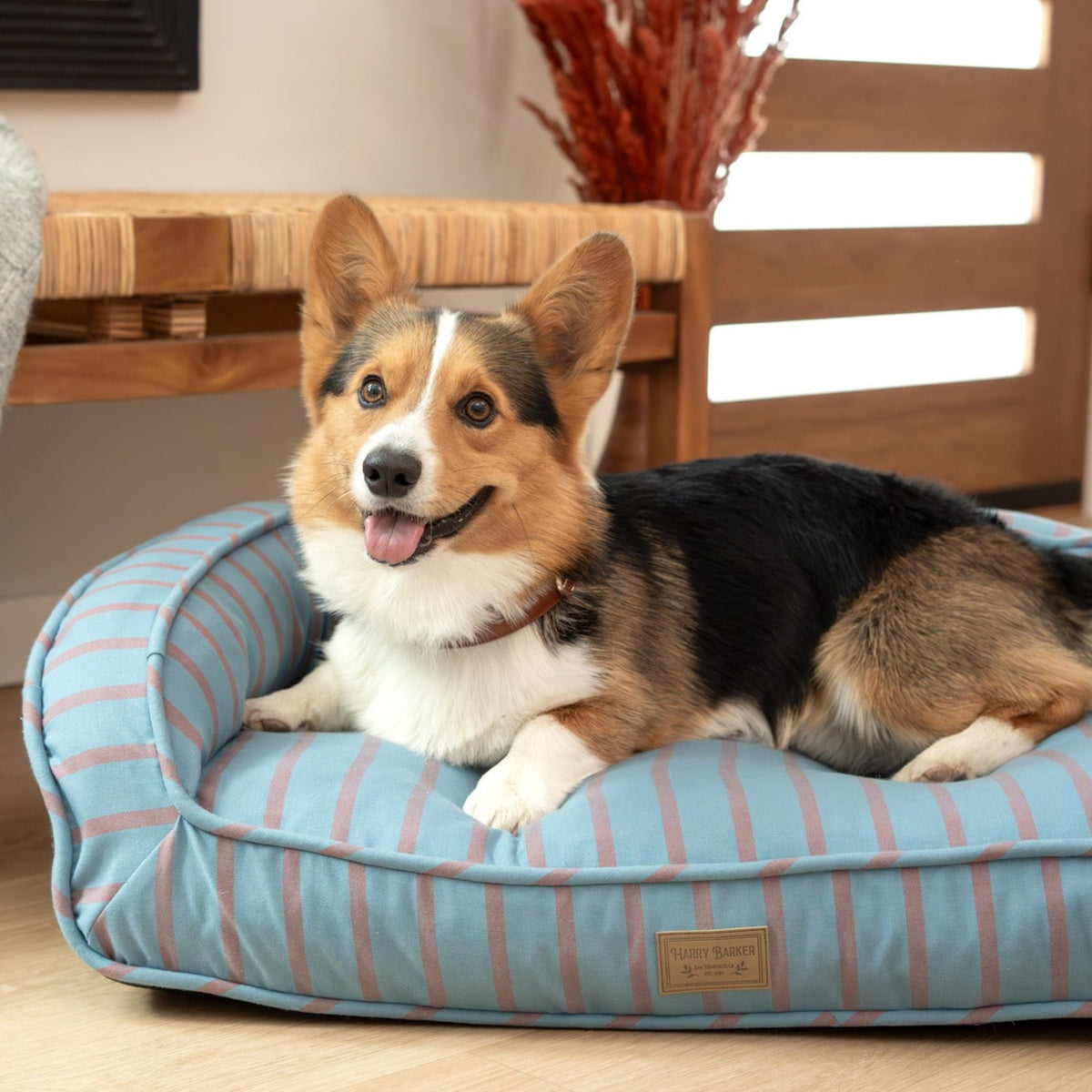 Striped Ortho Lounger Pet Bed