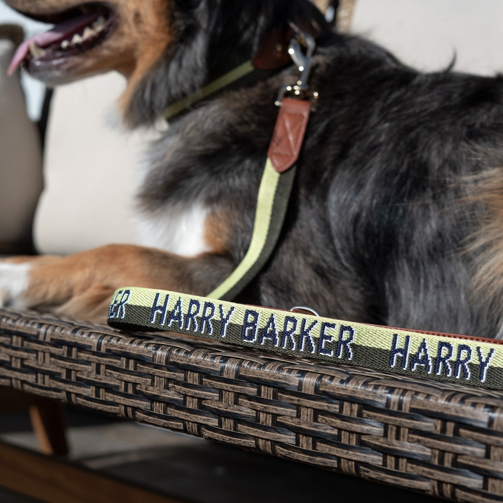 Harry Barker Luxury Dog Accessories and Products