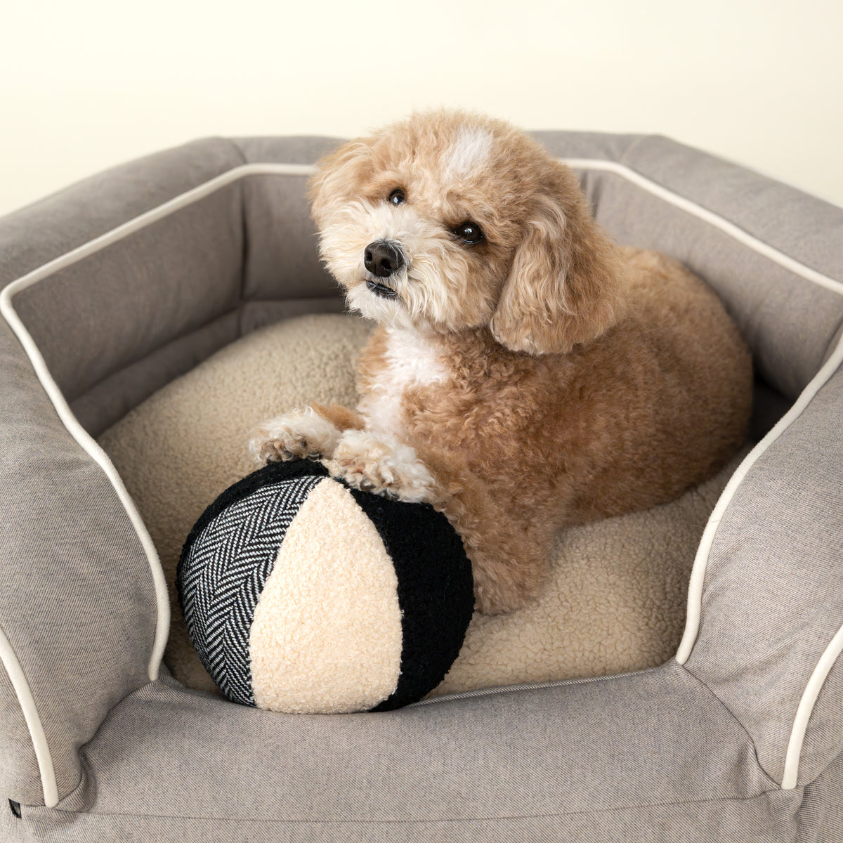 Collage Ball Dog Toy