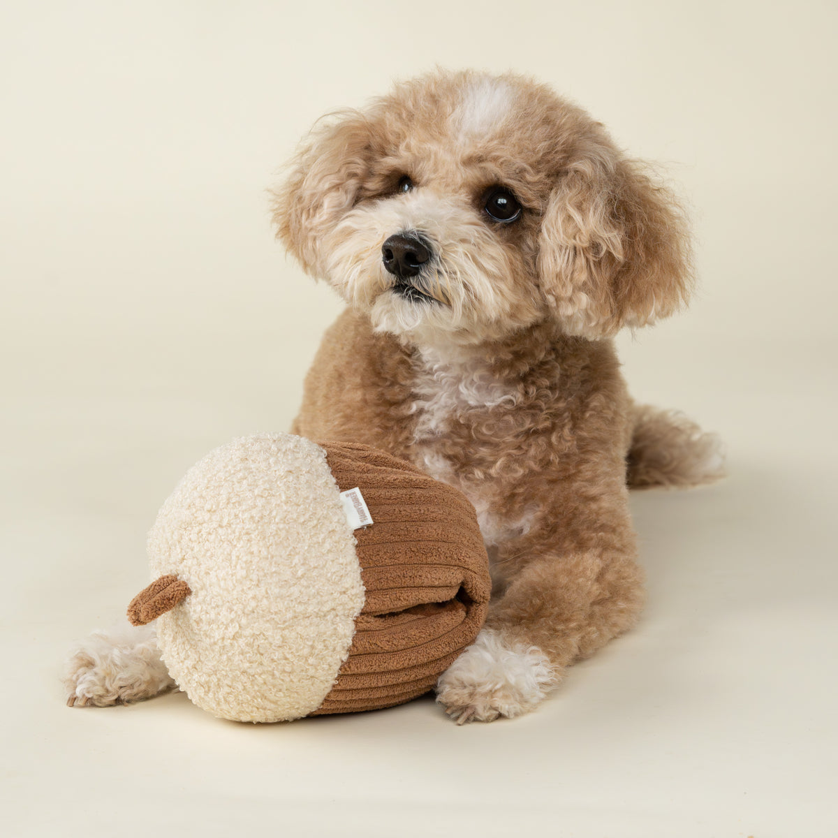 Hidden Stash Acorn Treater Dog Toy