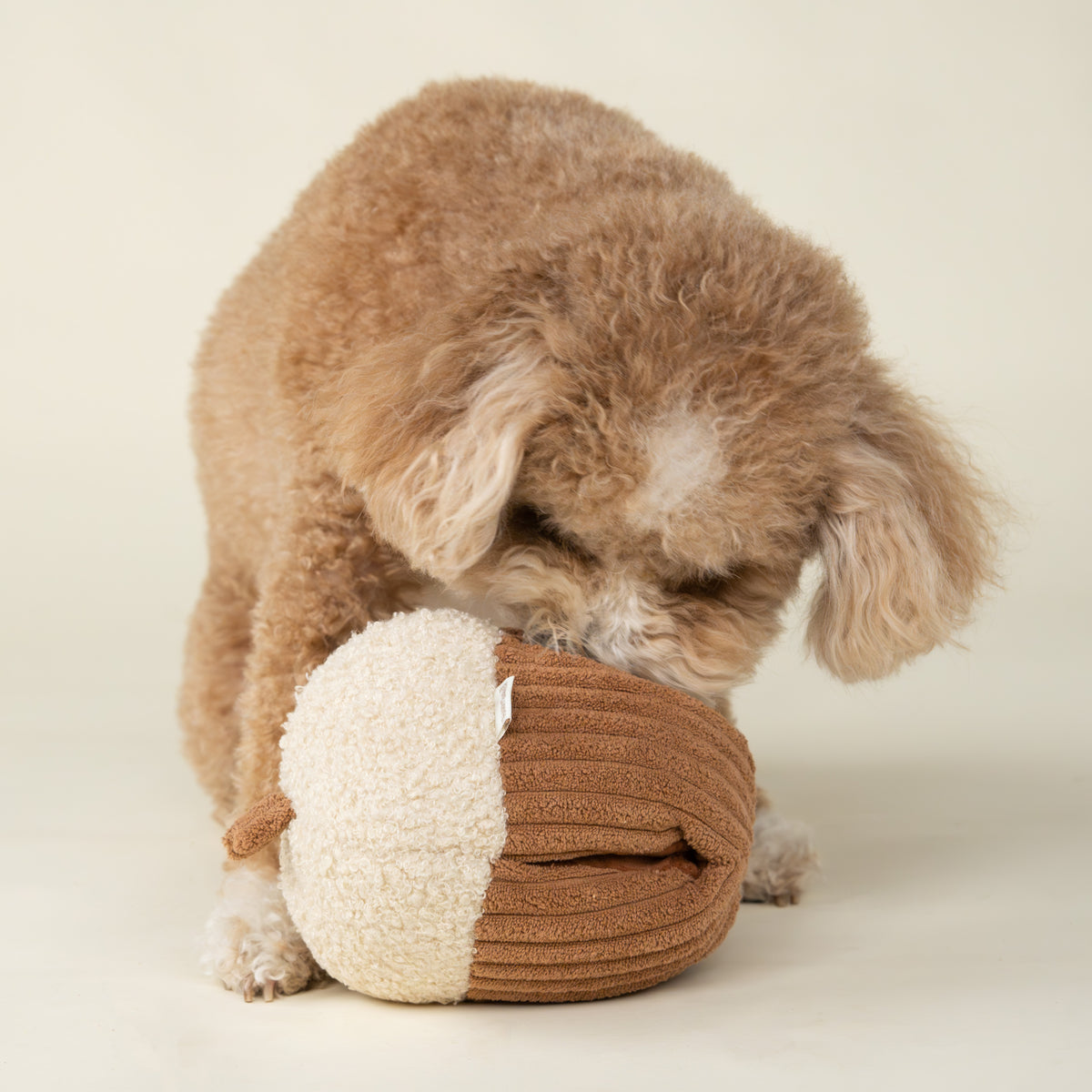 Hidden Stash Acorn Treater Dog Toy