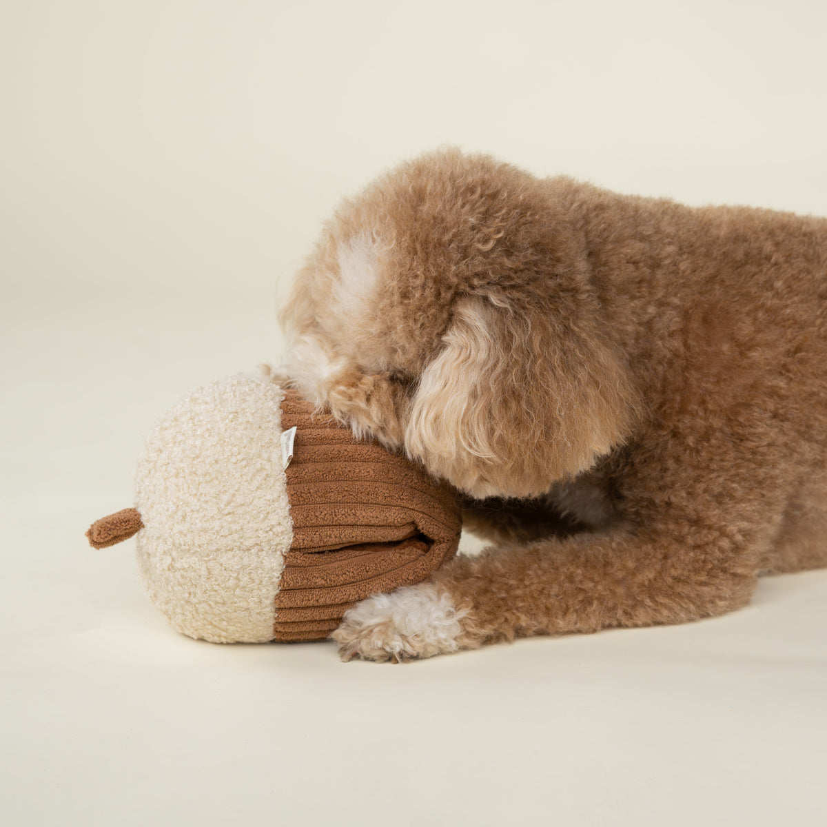 Hidden Stash Acorn Treater Dog Toy