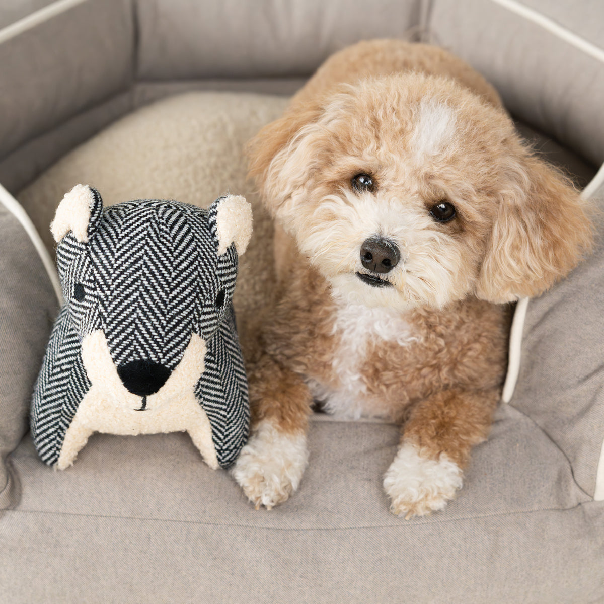 Herringbone Cuddle Bear Dog Toy