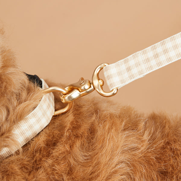 Harry Barker  Luxury Dog Accessories and Products