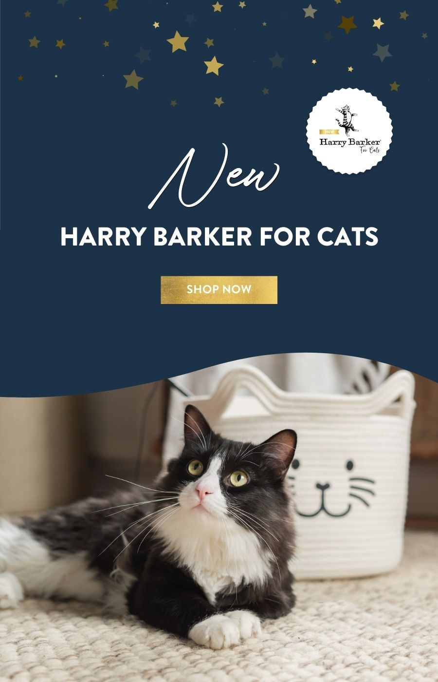 Harry 2025 barker wholesale