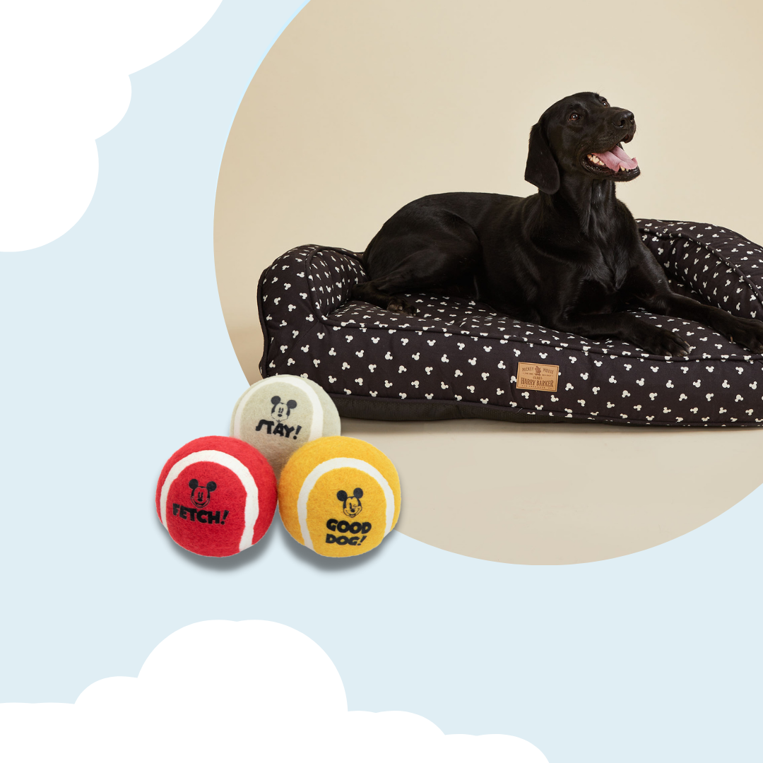 Harry barker dog 2024 treats