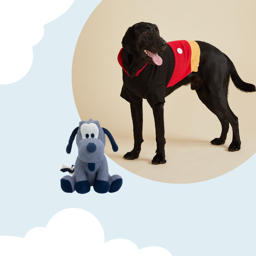Disney dog shop coat