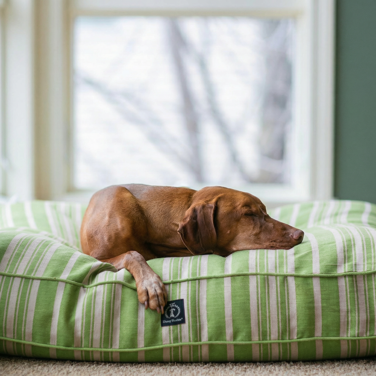 Bed Cover - Classic Stripe Rectangle Dog Bed Cover
