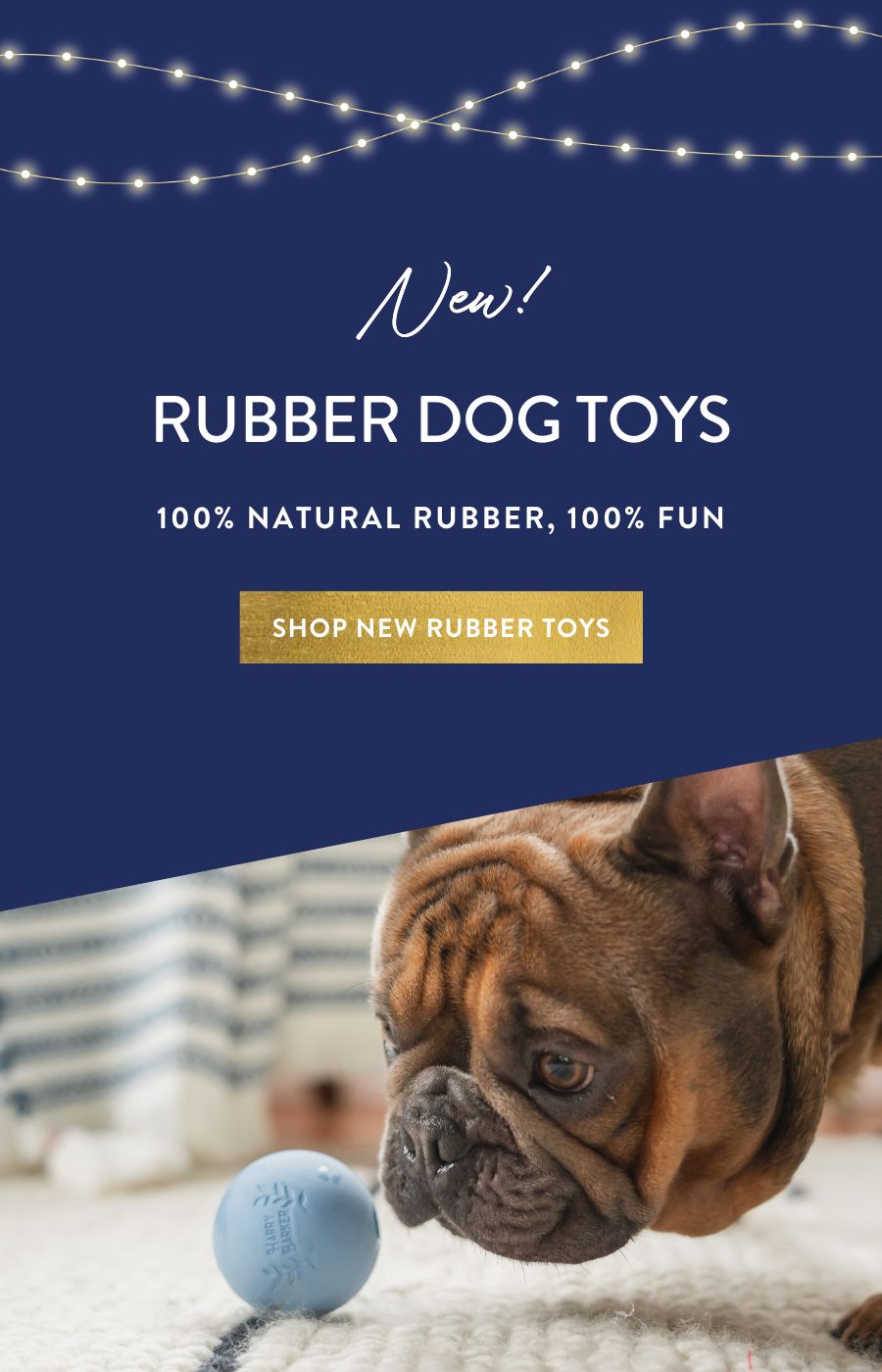 Luxury Pet Accessories For Fashionable Pet Owners