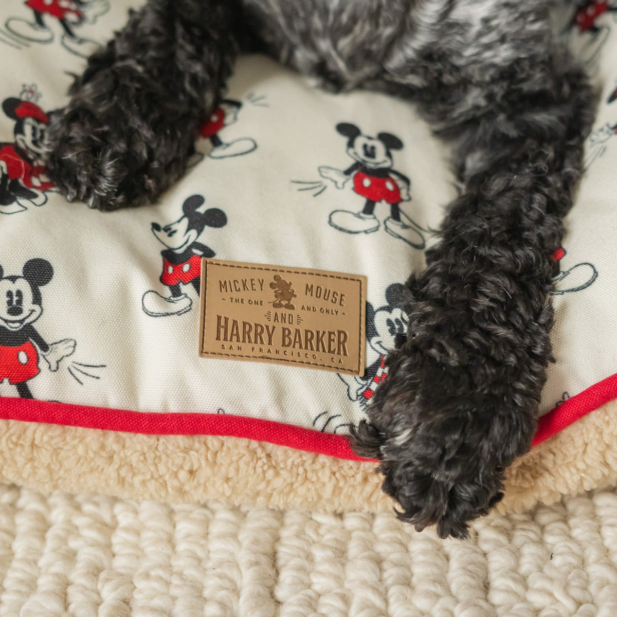 Vintage Mickey Envelope Bed