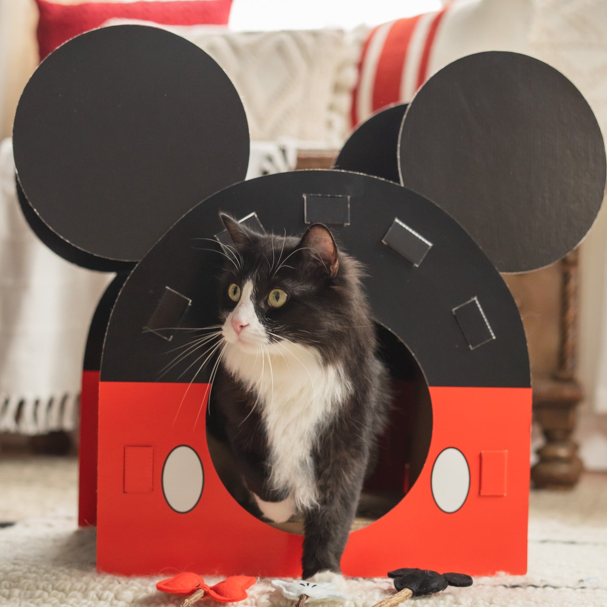 Mickey Cat Scratcher House & Toys