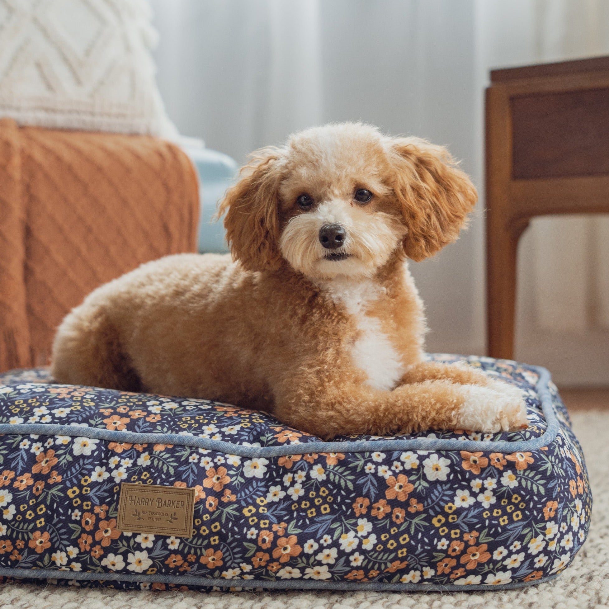 Soft Dog Bed in Brown Tweed, soft cushion inside