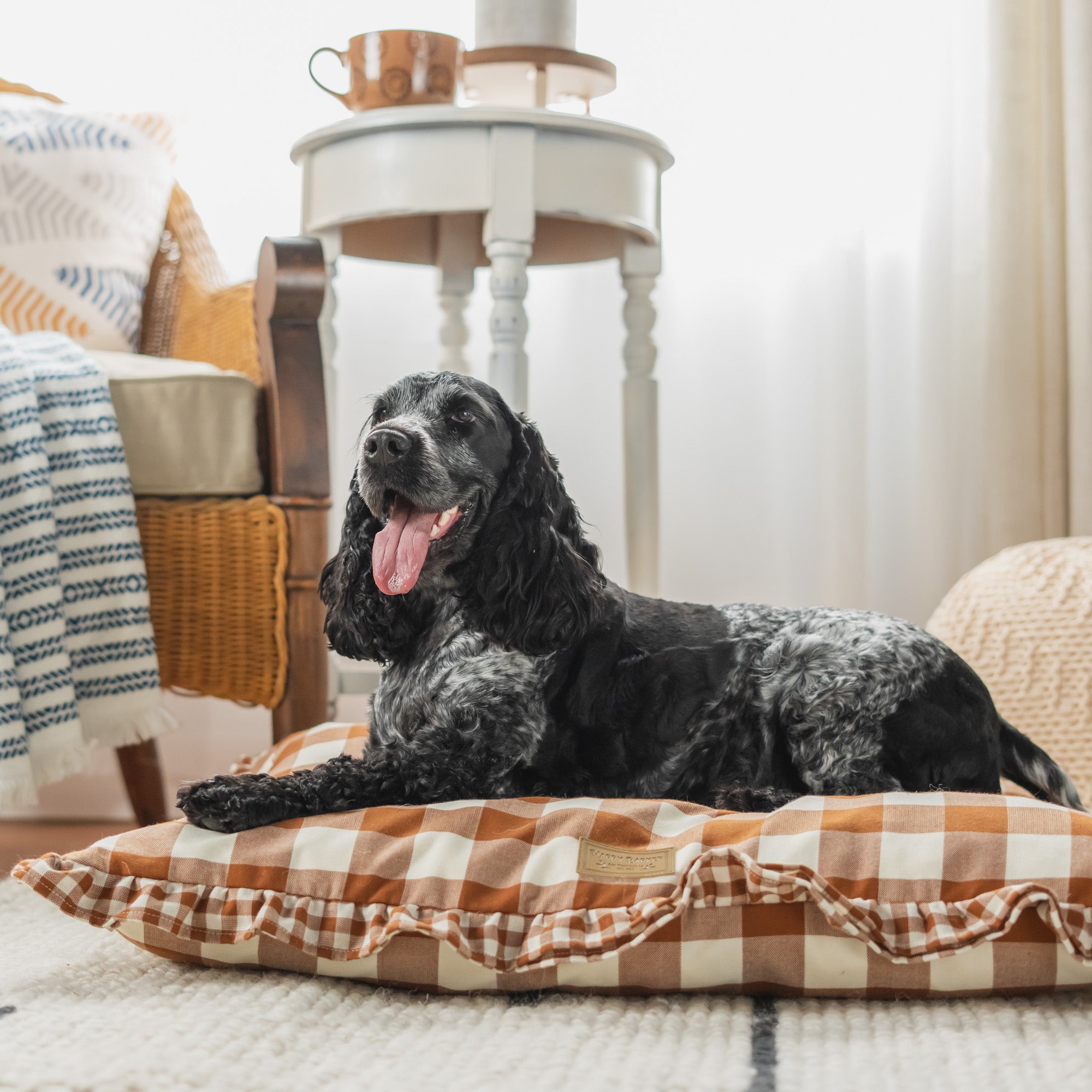 Burberry Inspired Dog Collar & Leash – Store – Ashwood Manor Designs