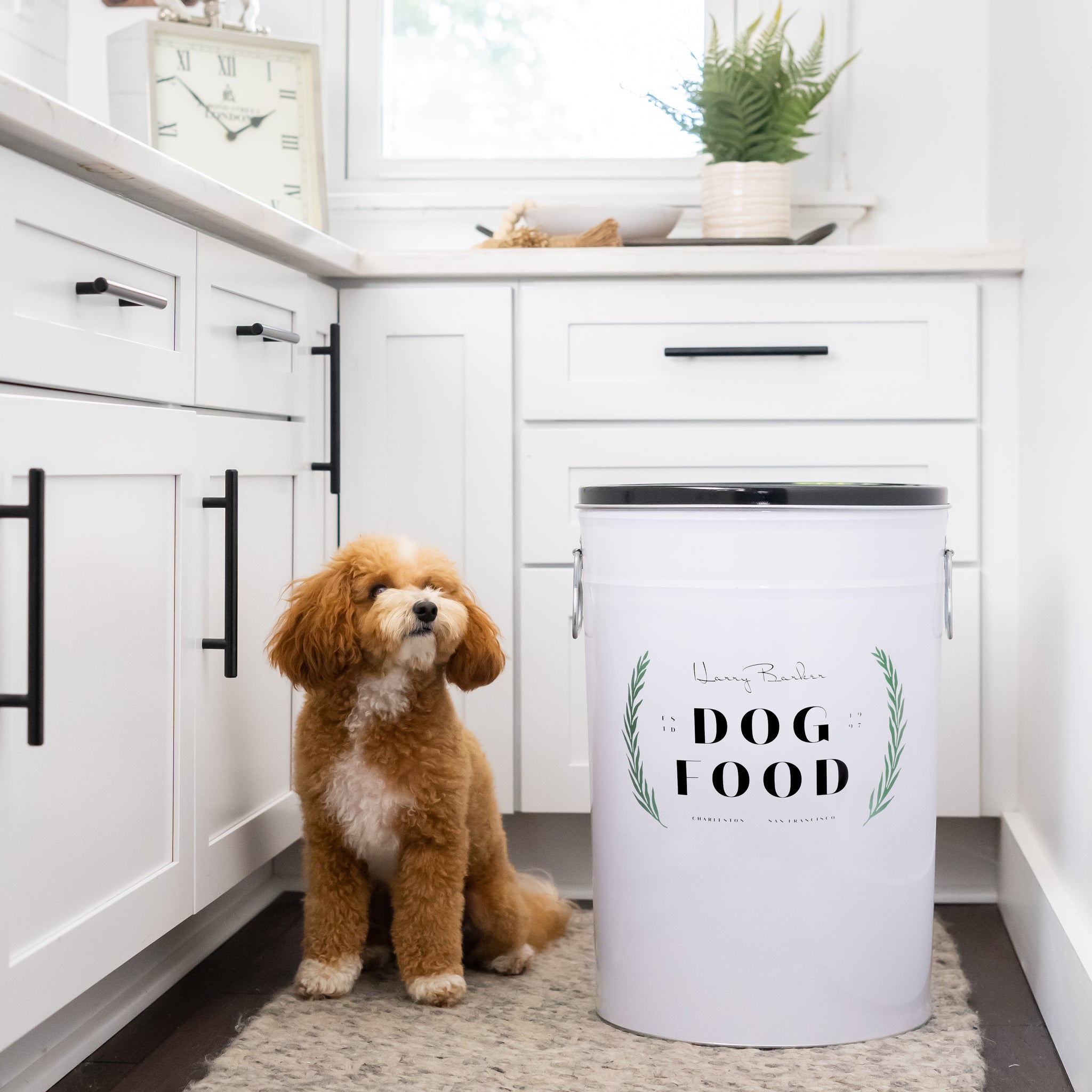 High-Quality Dog Food Storage Abstract for Desktop High-Quality Dog Food Storage Abstract for Desktop