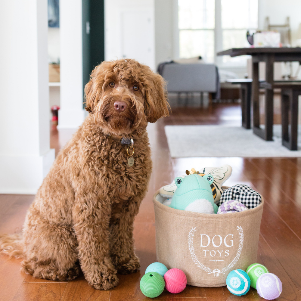 Large Dog Toy Storage Basket – Bins & Things