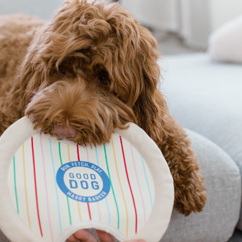 Good Dog Canvas Frisbee Toy Harry Barker