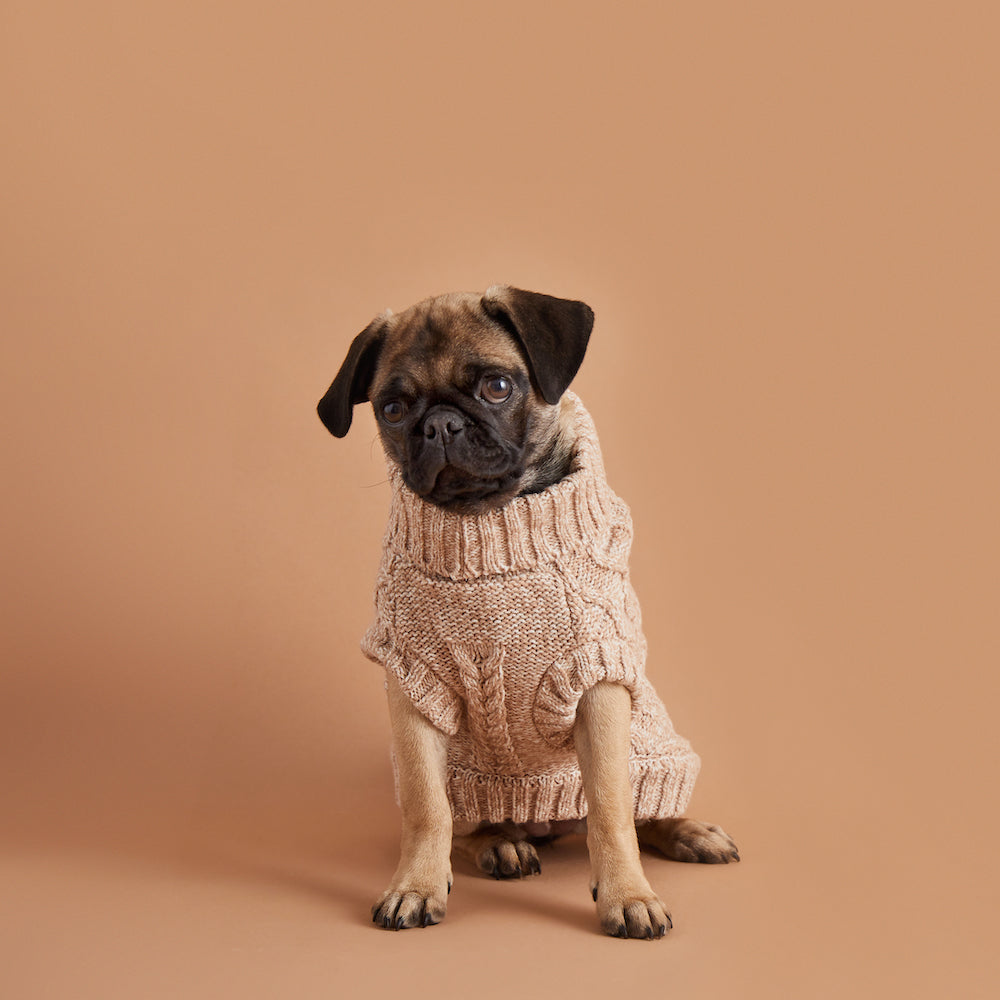 Dog Apparel Sweaters Scarfs Hats Pajamas More Harry Barker