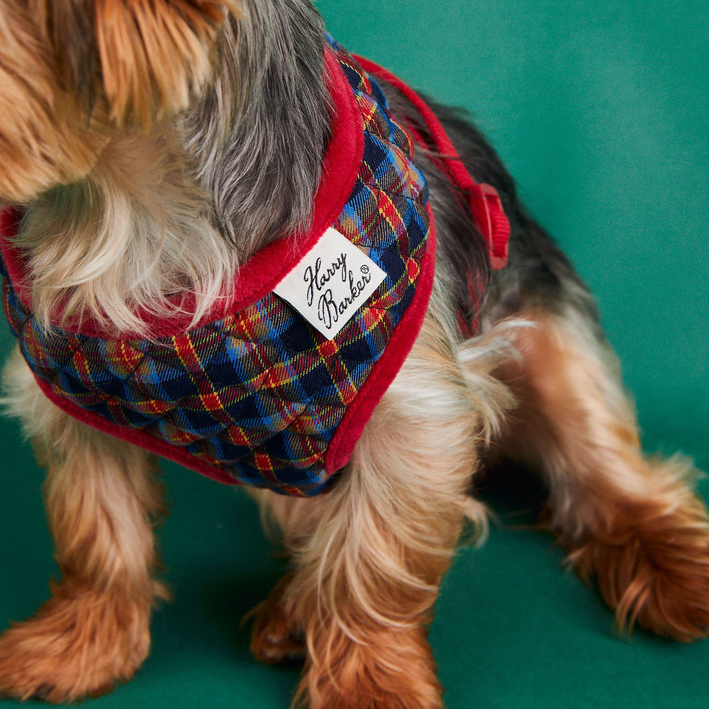 Dog Collar  Hardywood Online Shop