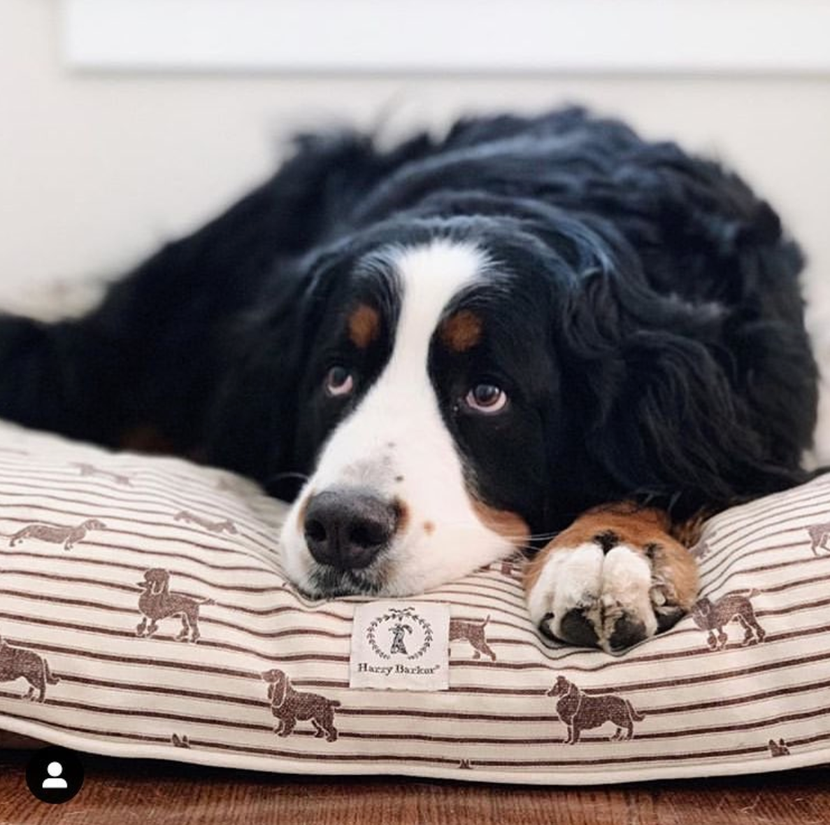 Ticking Rectangle Dog Bed Cover
