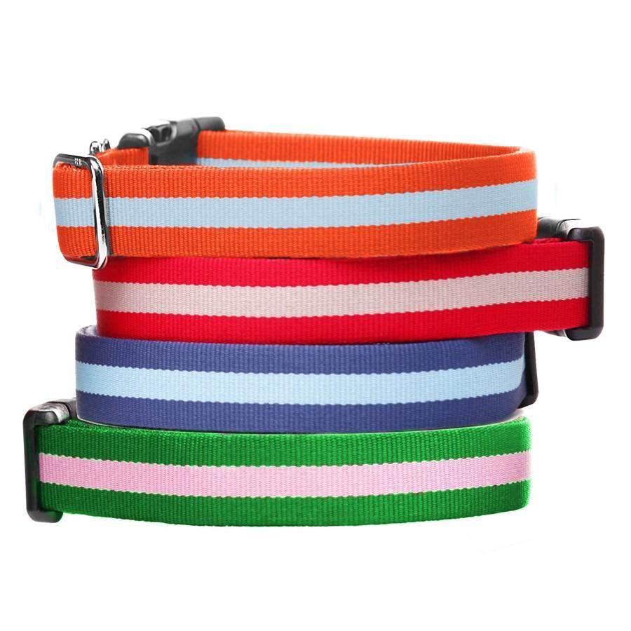 Dog Collars, Leashes, Harnesses, & More