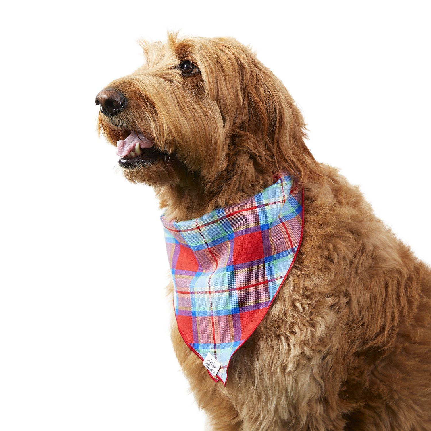 Dog Apparel Sweaters Scarfs Hats Pajamas More Harry Barker