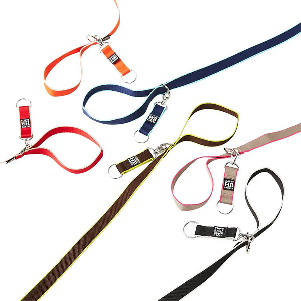 Dog Leashes - Preppy, Rope, Plaid, Leather, & More | Harry Barker