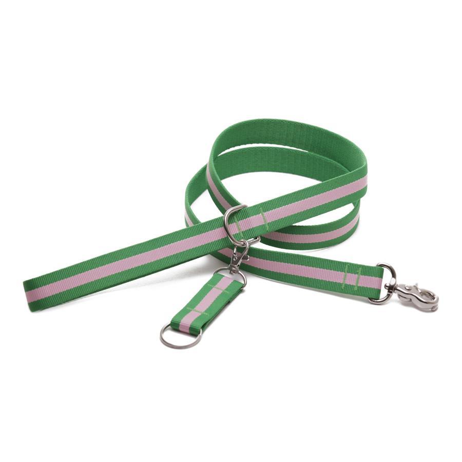 Green dog clearance leash